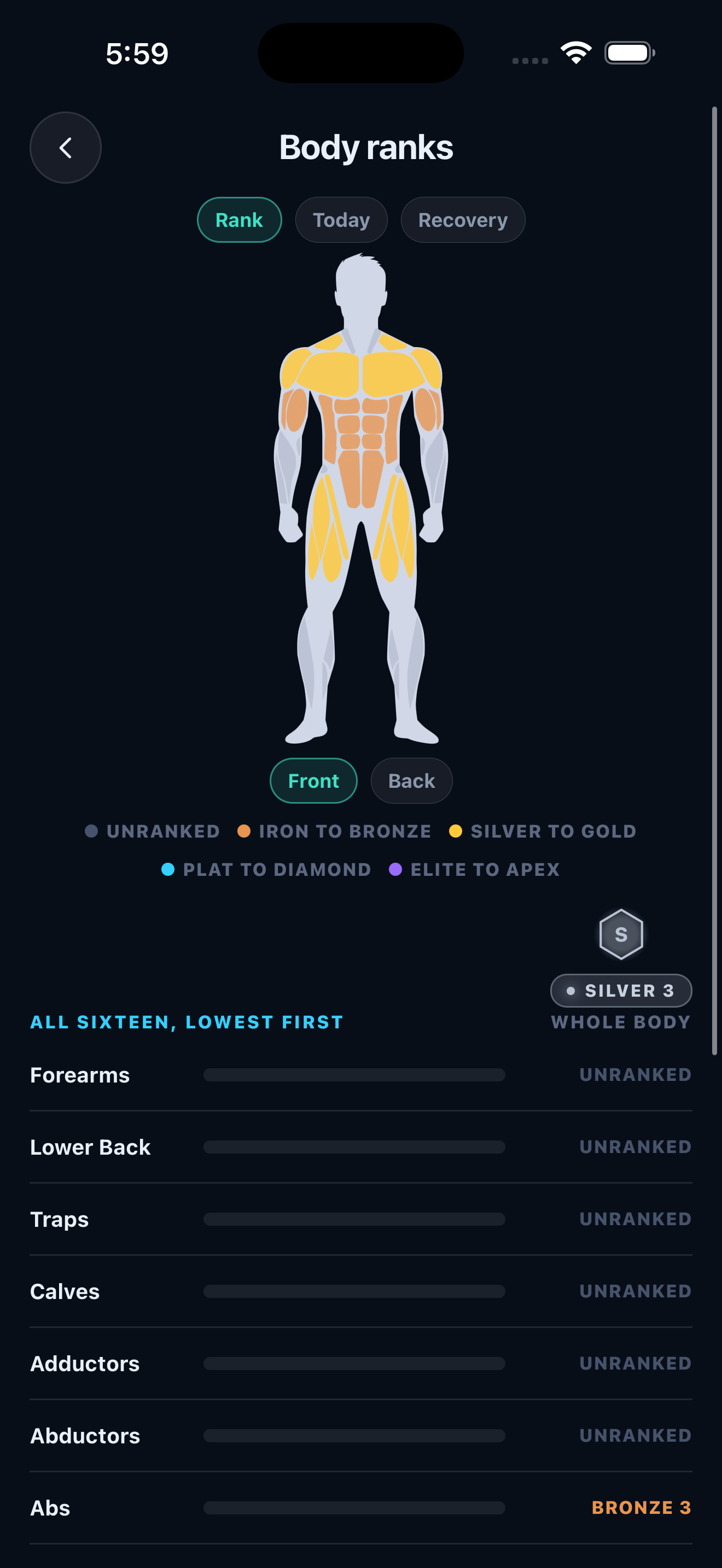 RANKED body view showing progress across muscle groups